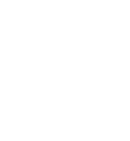 Gorjian Acquisitions